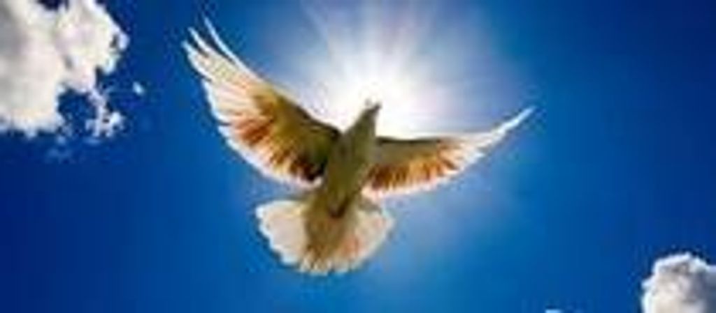 Rose (Mccoy)  Wilson Profile Photo