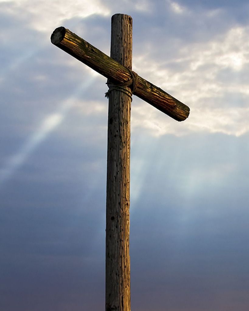 Julia Ann Harris Profile Photo