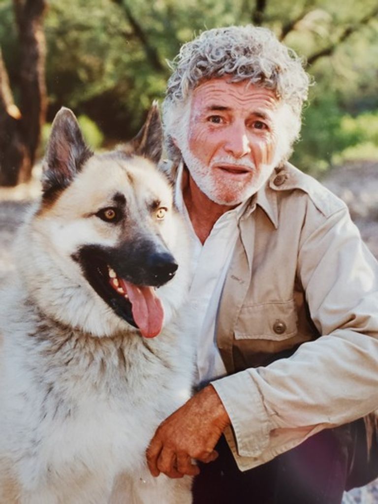 Harvey L. Ellowitz Profile Photo