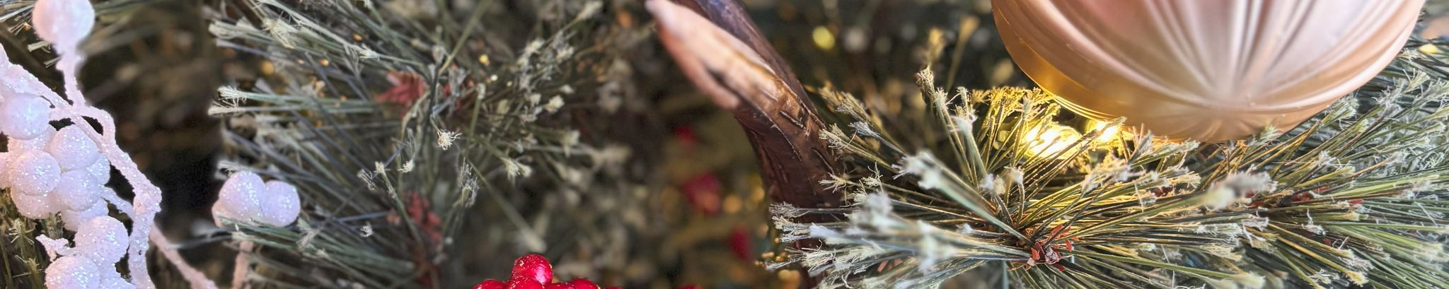 Cover for Service of Remembrance's Obituary