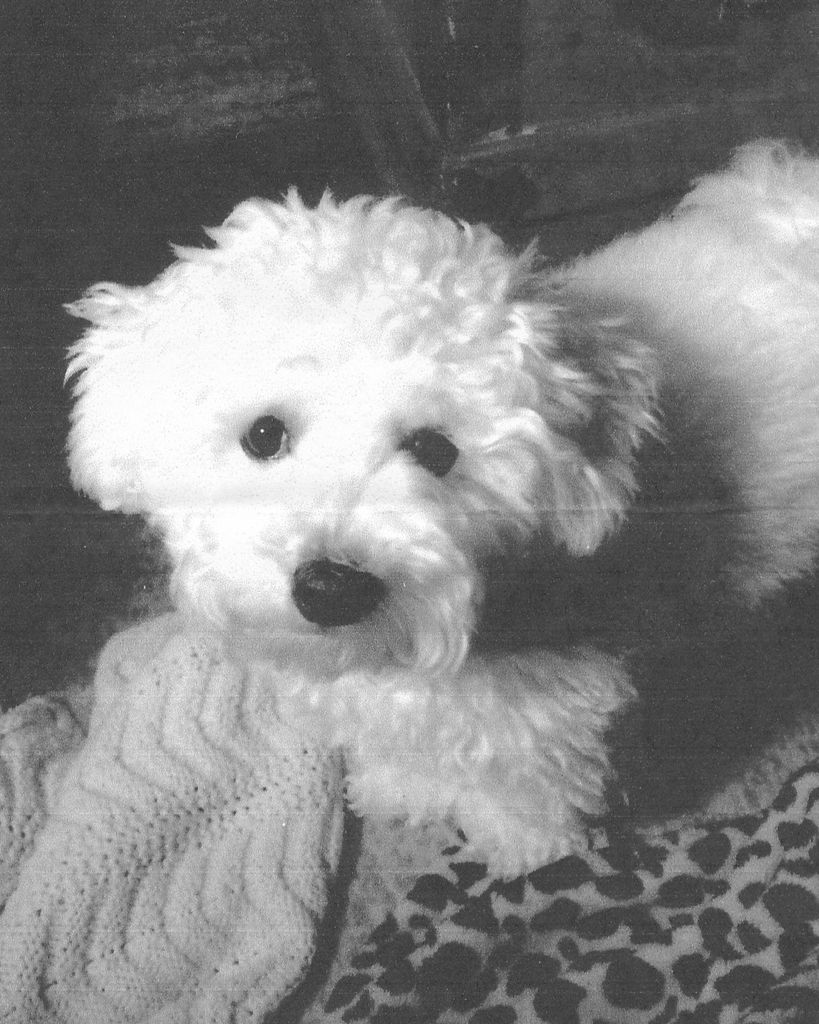 Peggy Sue Schiell