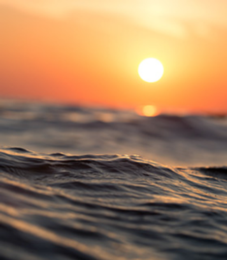 Joey Michael Lynn Profile Photo