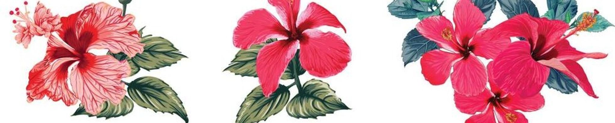 Cover photo for Bernice "Bea" Ann Quintanilla Russano's Obituary
