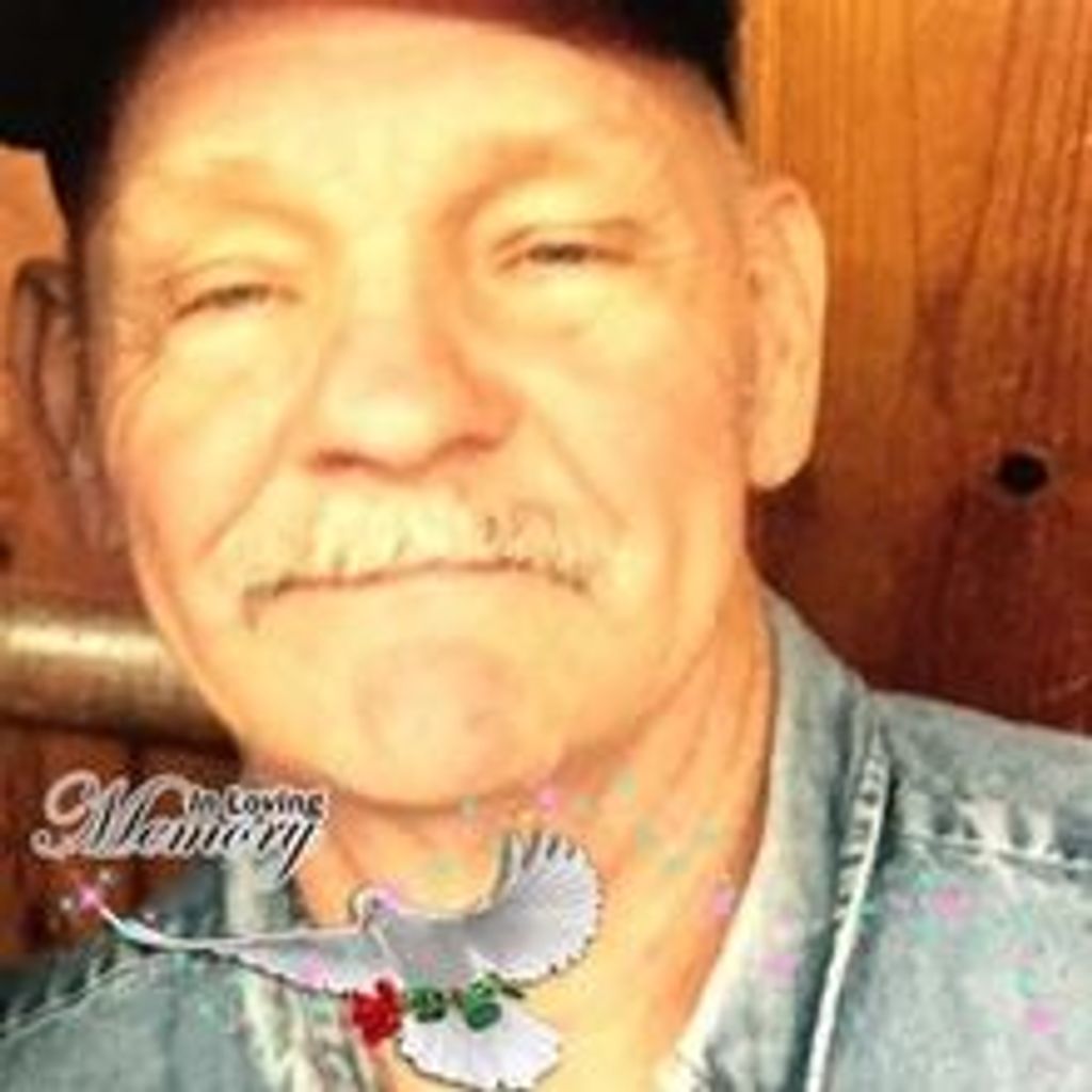 David Cole Profile Photo