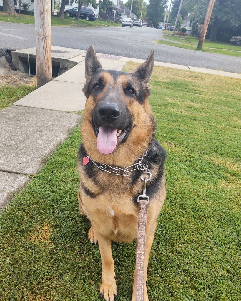 Thorn Byrn Profile Photo