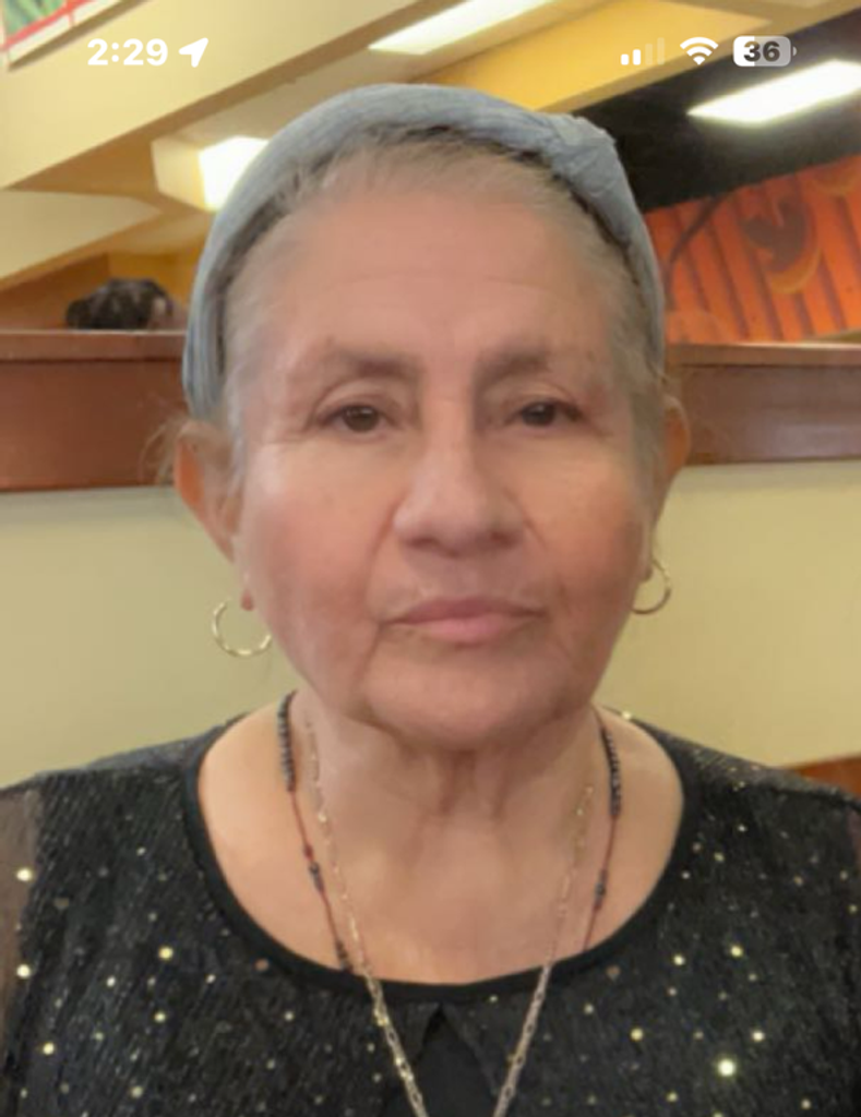 Teresa Ibarra Carrillo