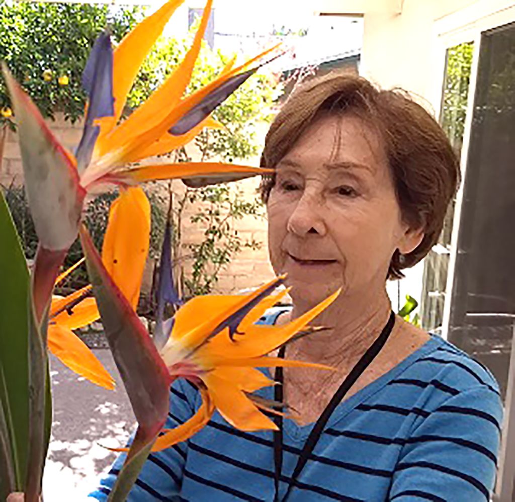 Lyliane Marie Marcelle Bellis Profile Photo