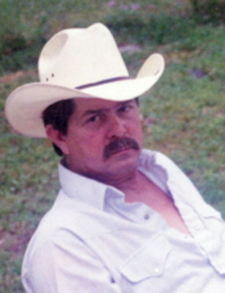 John  David Hudleston