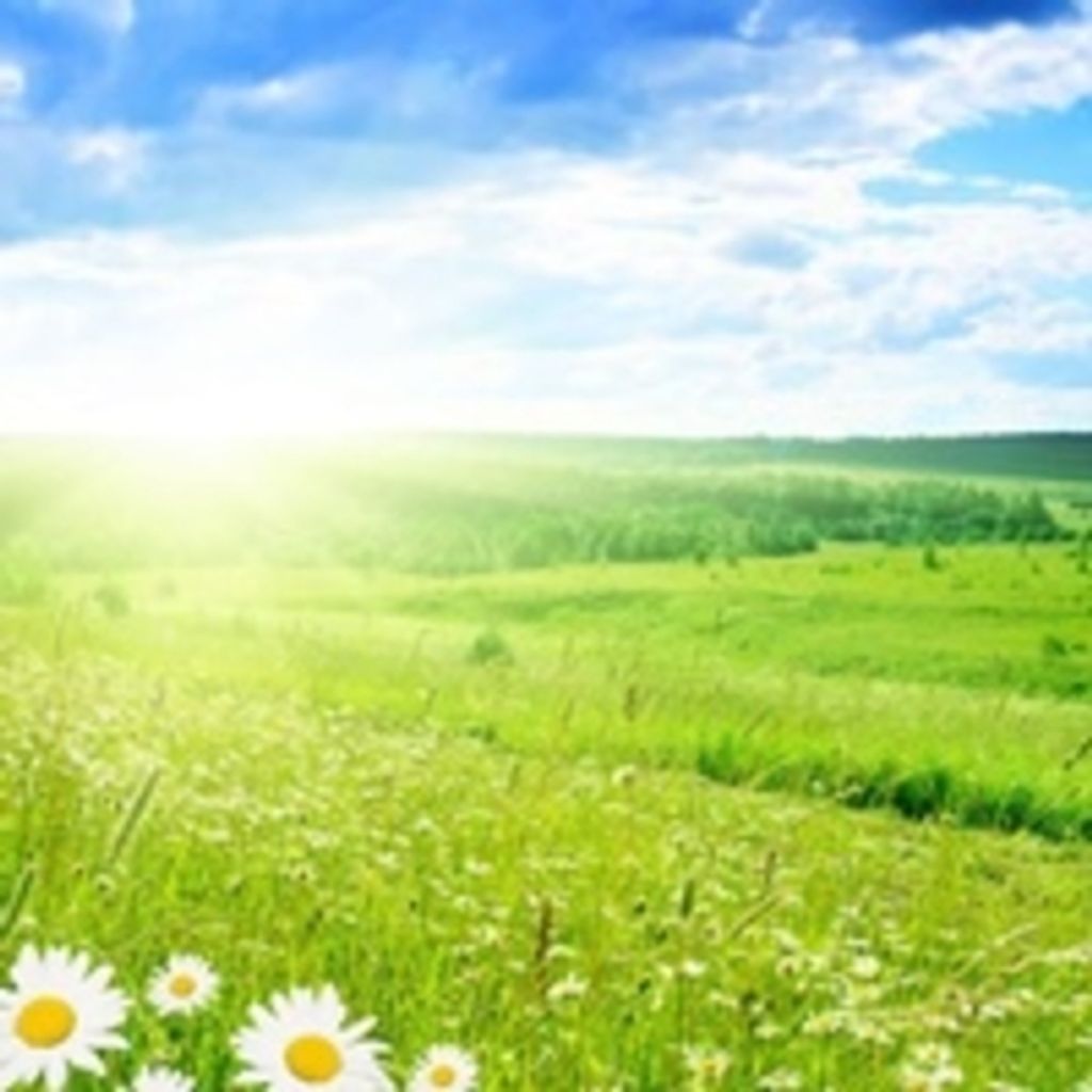 Margaret "Maggie" Smithson