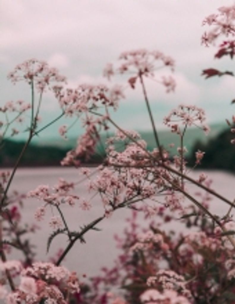 Linda Kathryn Bishop