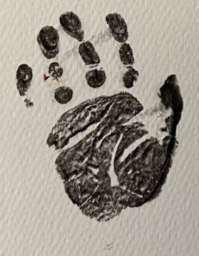 Mason Alexander King Profile Photo