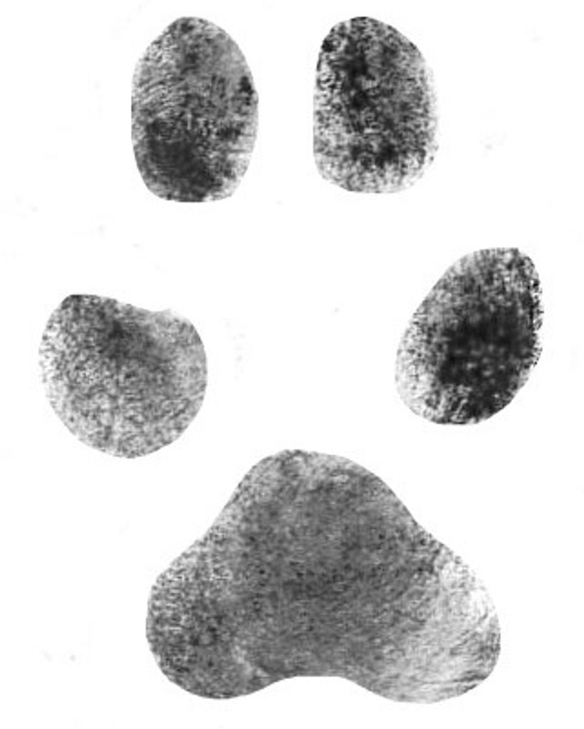 Lily Roundy Profile Photo