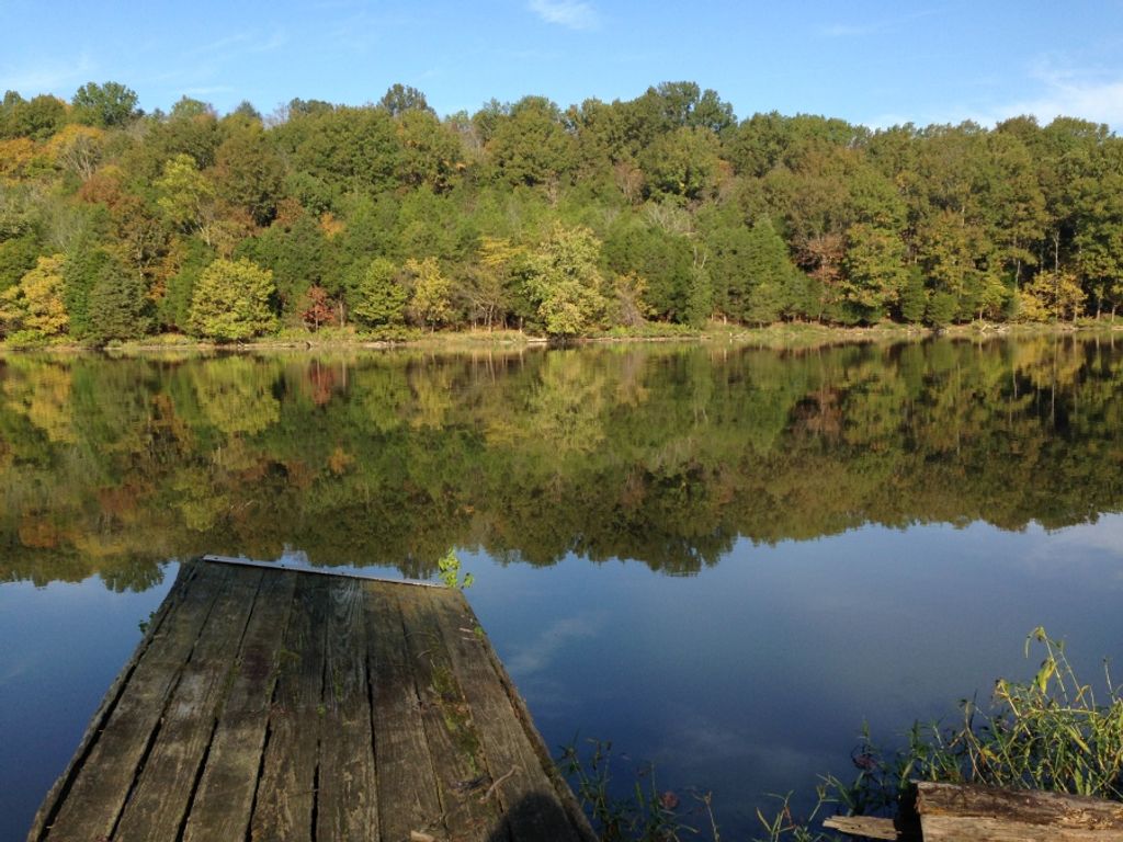 Theodore (Teddy) Horace Willis