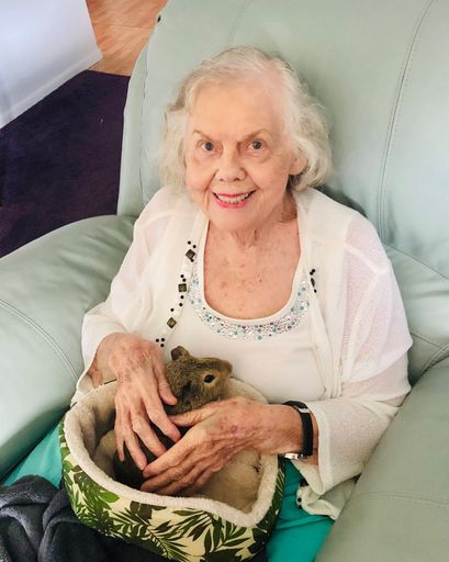 Nancy Elizabeth Wassel Profile Photo
