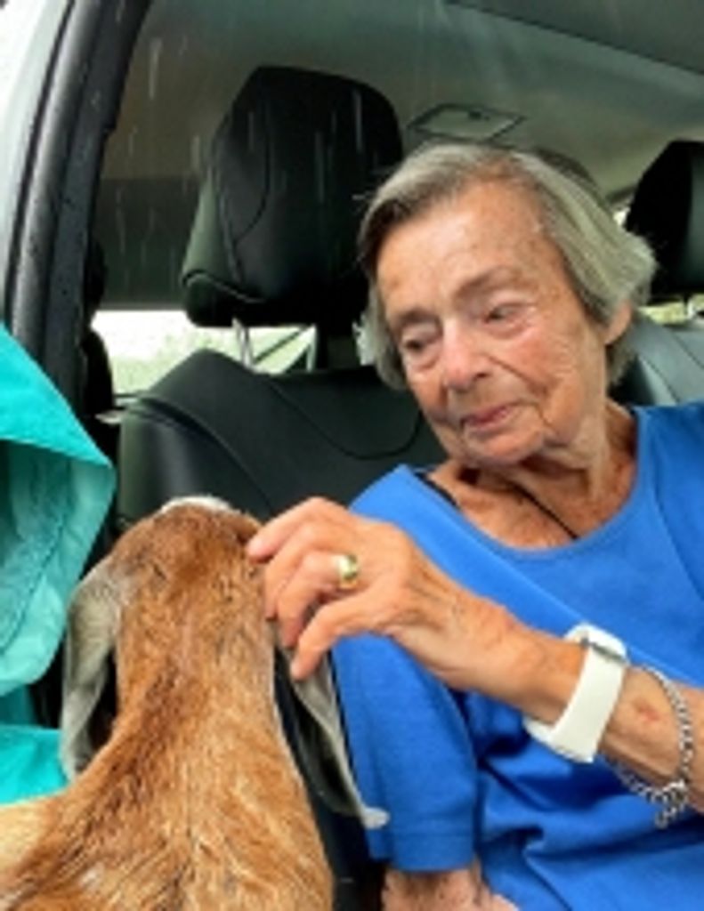 Mary Jo Herdman Profile Photo