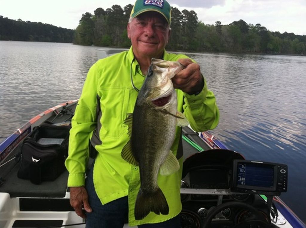 Johnny Harper Profile Photo