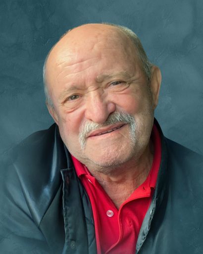 Luigi Piccioli Sr.'s obituary image