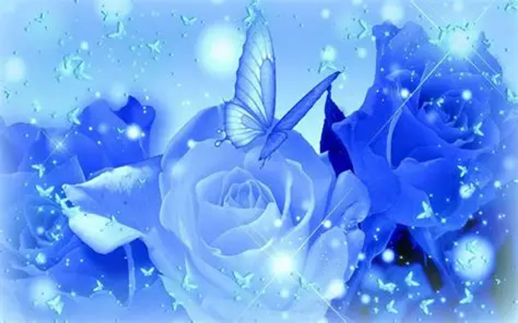 Cover for Sharonda Y. James's Obituary