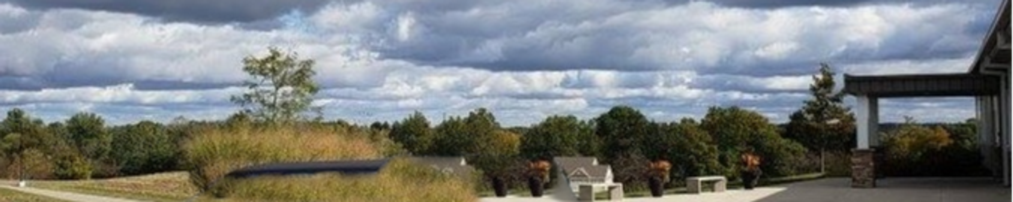 Cover for Barbara Evans's Obituary