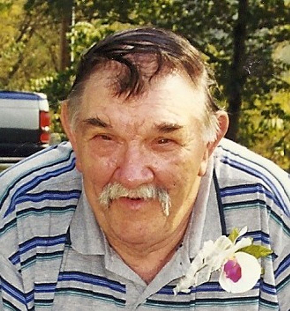 Willard A. Ronnenberg Profile Photo