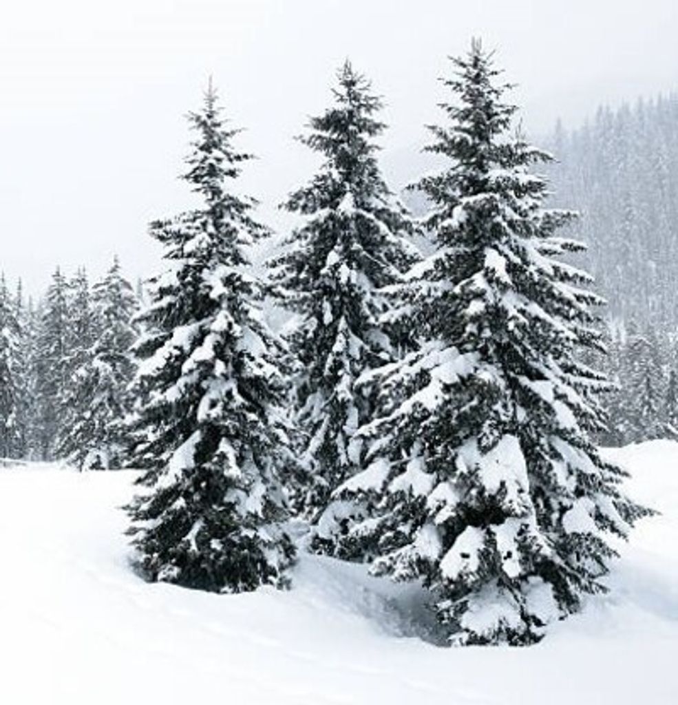 James Douglas, Jr. Profile Photo