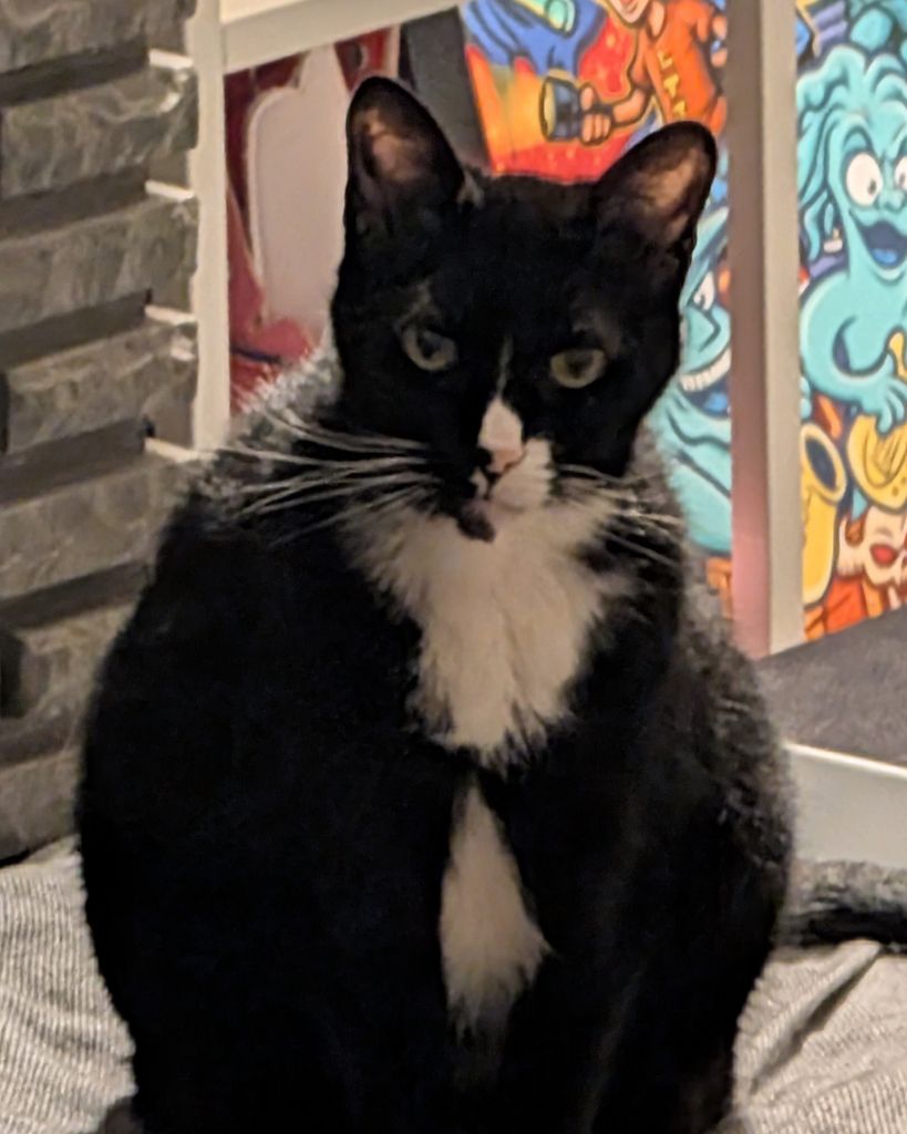 Sox E. Mamacita