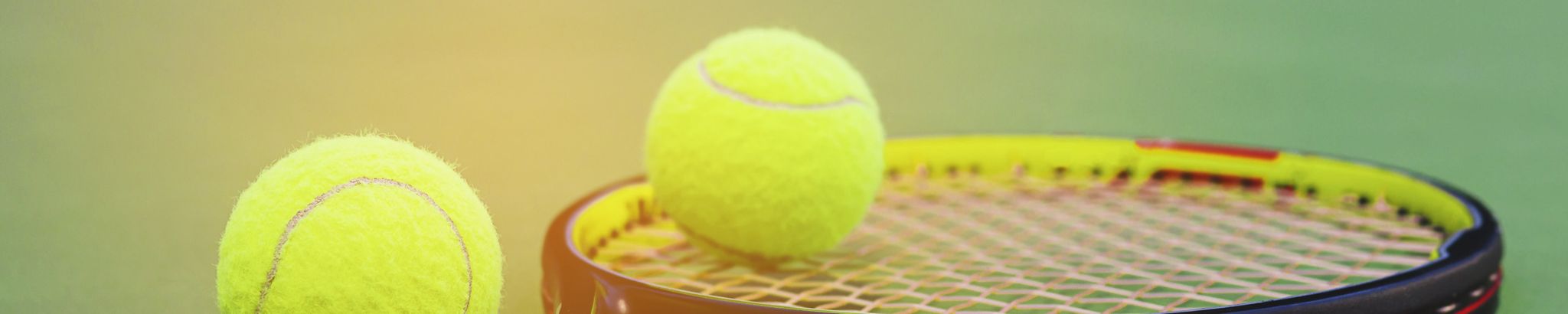 Cover for Diana Lynn Perry's Obituary