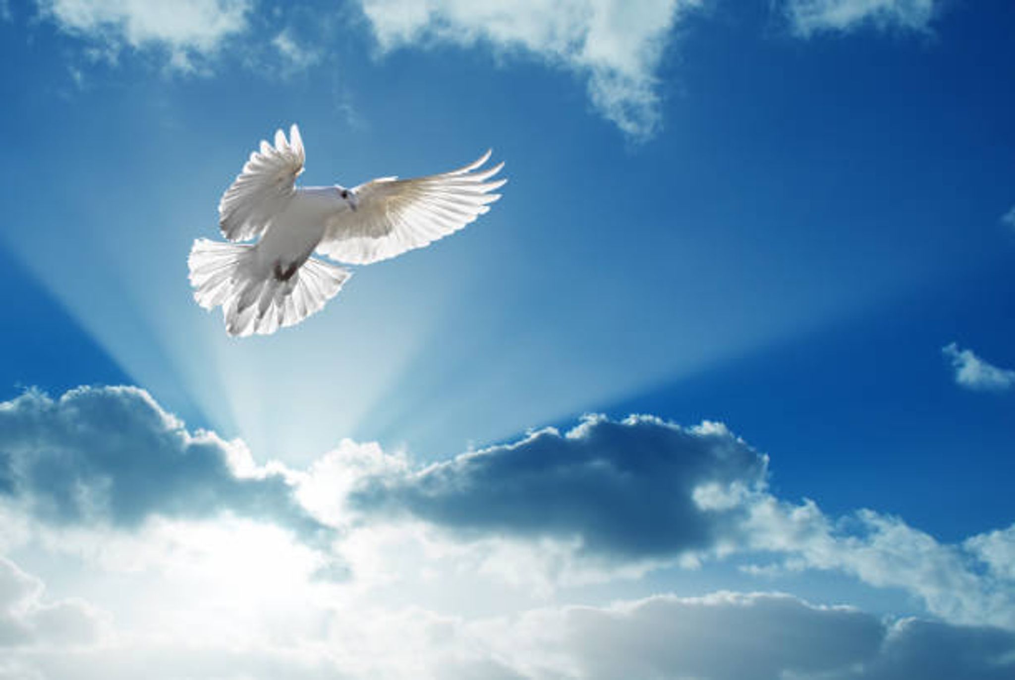 Cover for Jovita Sepeda's Obituary