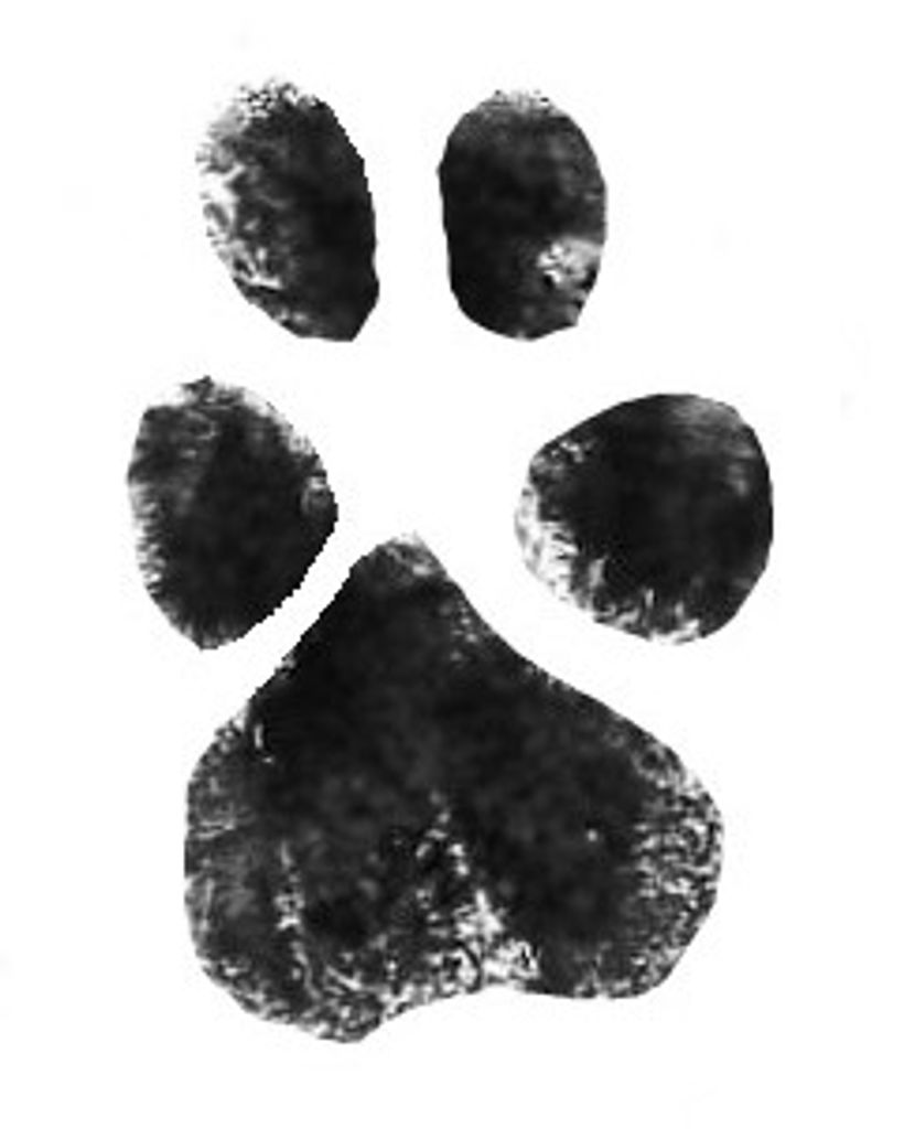 Bitty Wofford Profile Photo