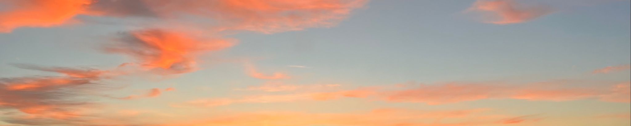 Cover for Donna Lynn Read's Obituary