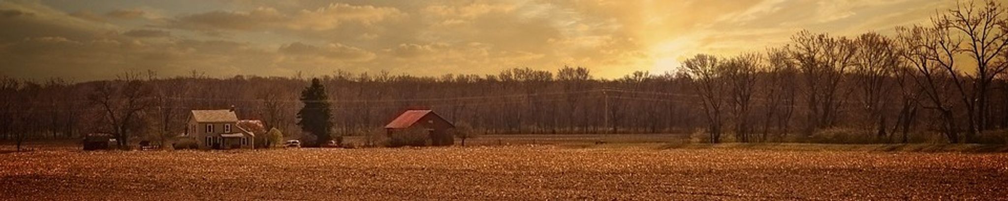 Cover photo for Ruth Joan Beaupre's Obituary