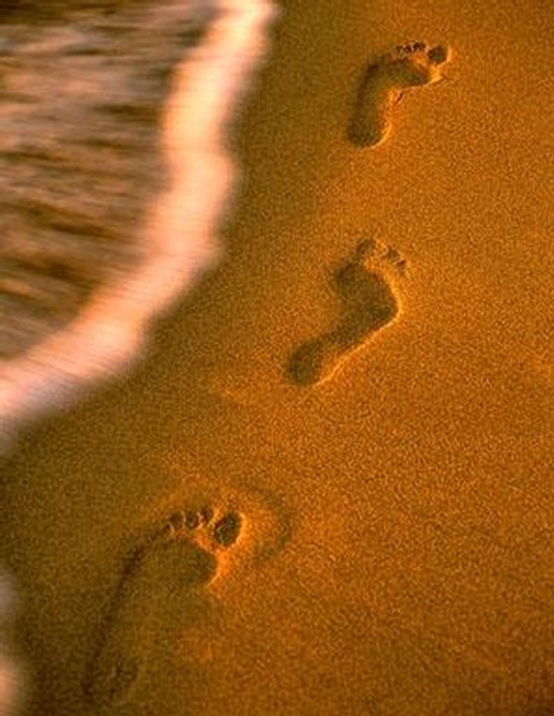 Lois Surgner Profile Photo