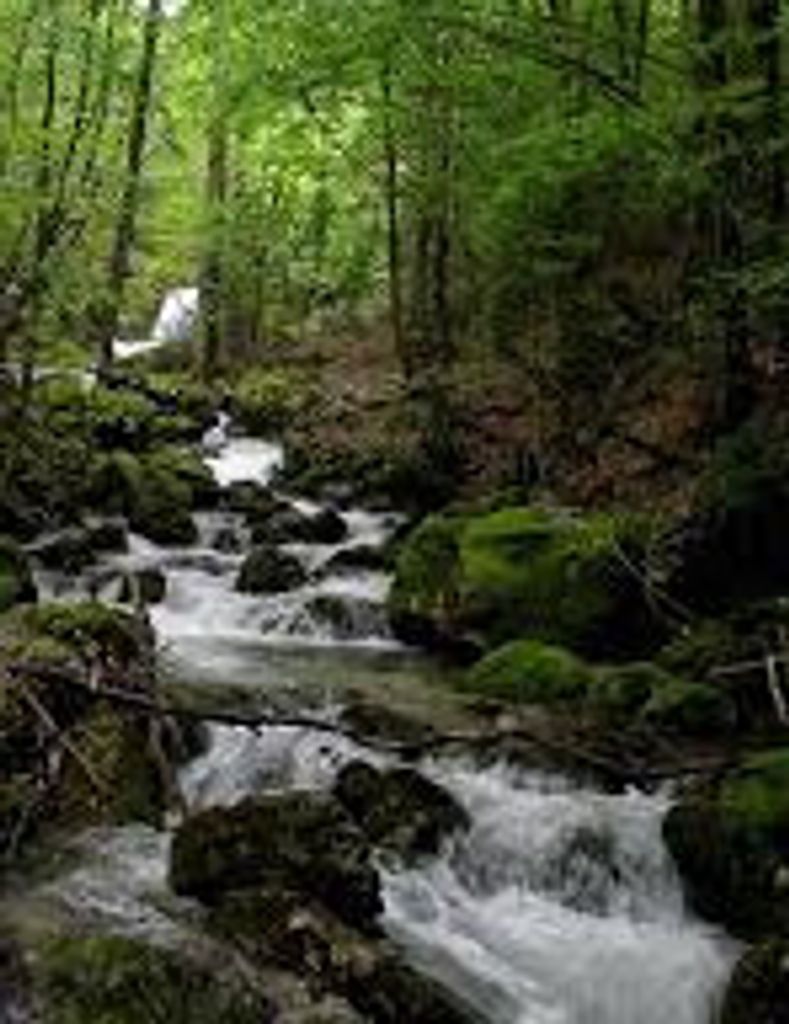 Dean Edward Simonds Profile Photo