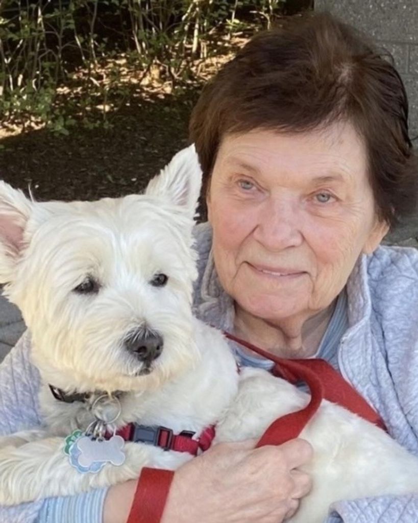 Mary A. Petrocelli Profile Photo