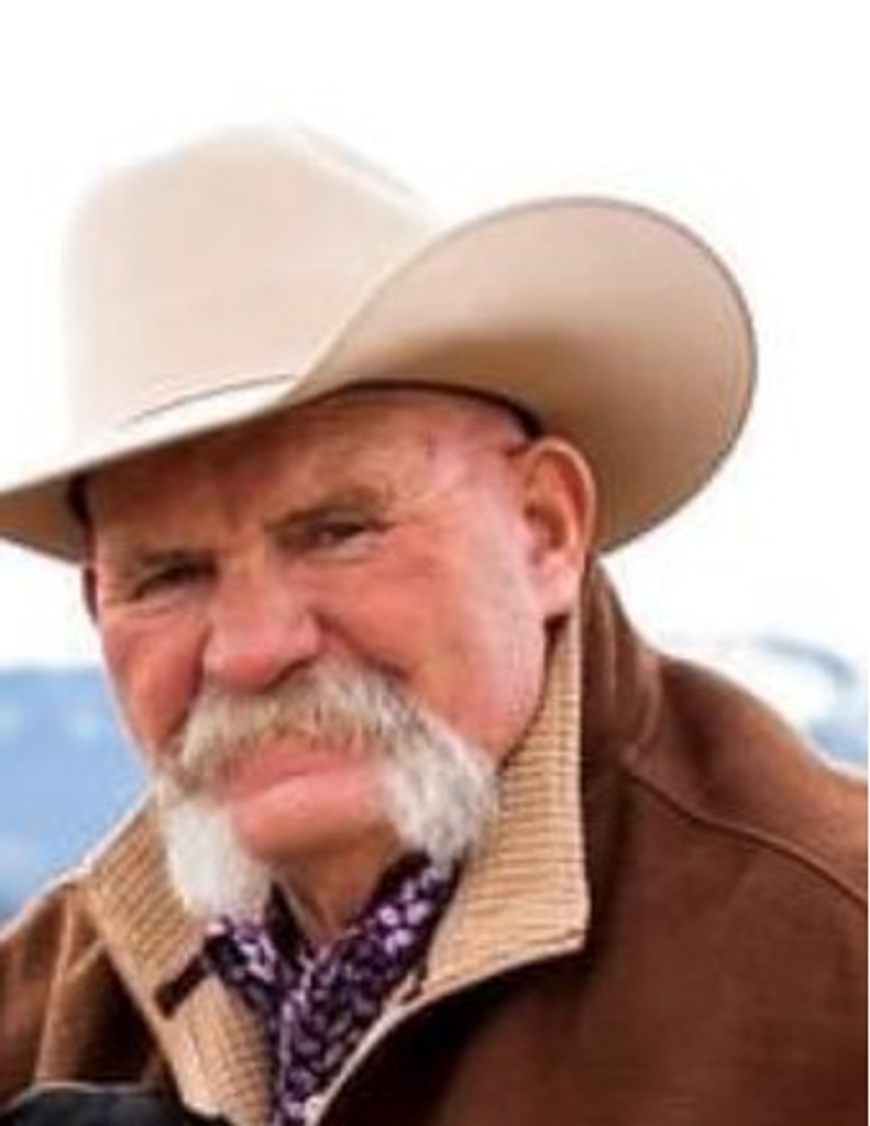 Jed C Nield Profile Photo