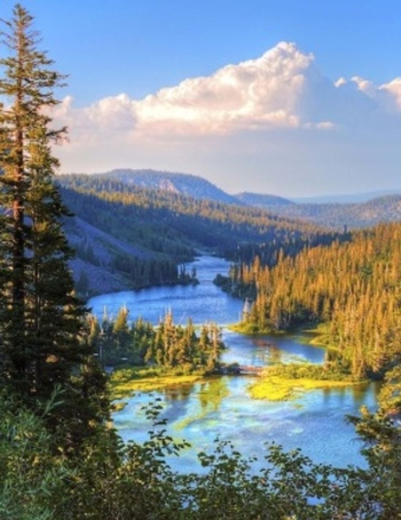 Arthur D. Griffith Profile Photo