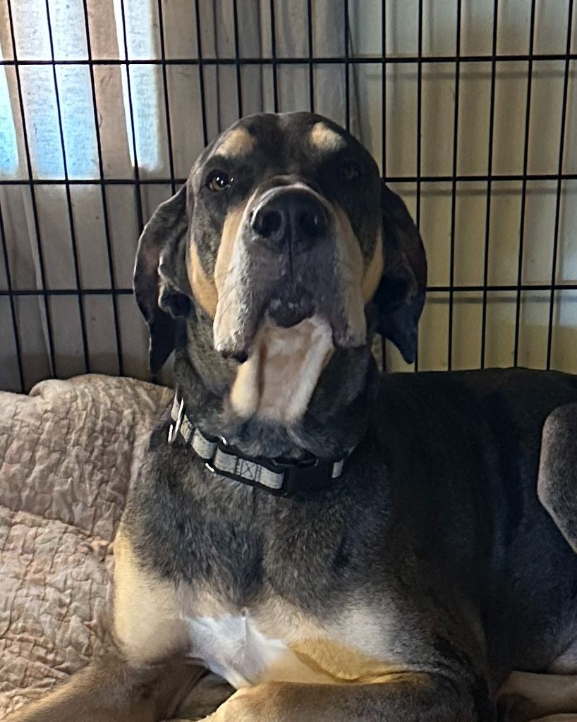 Max Plummer Profile Photo