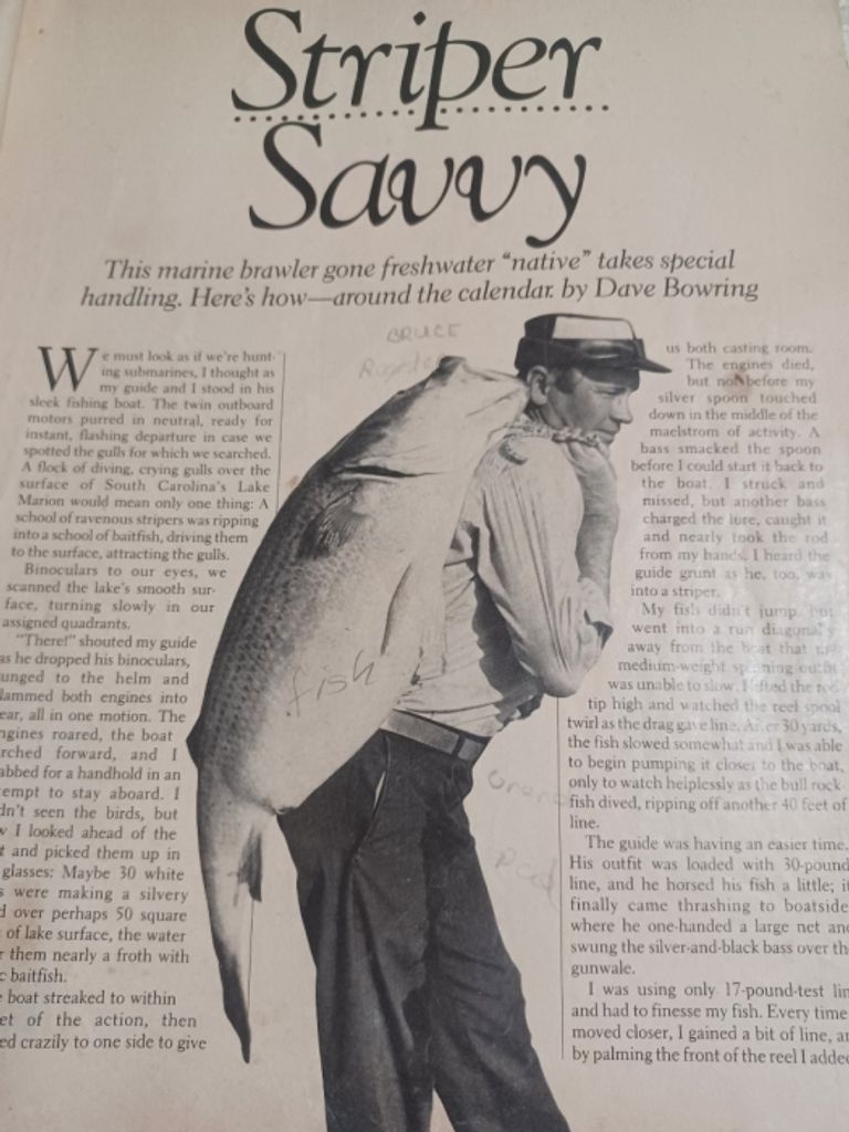 Laurie Bruce Register