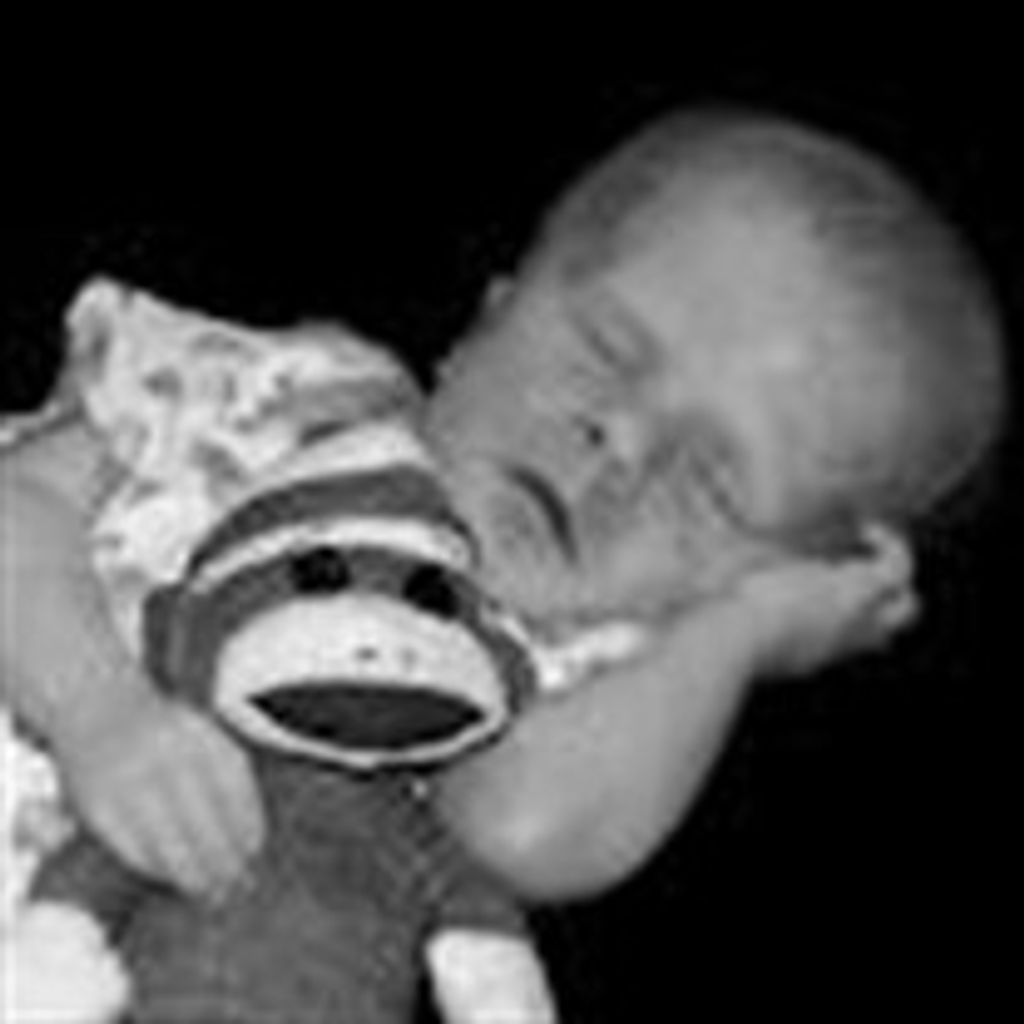 Elias Browder Campbell