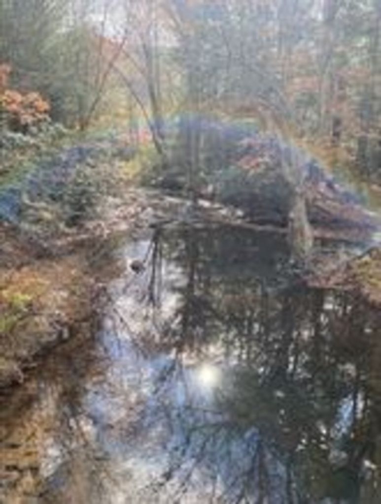 Lucille J. Houck Profile Photo