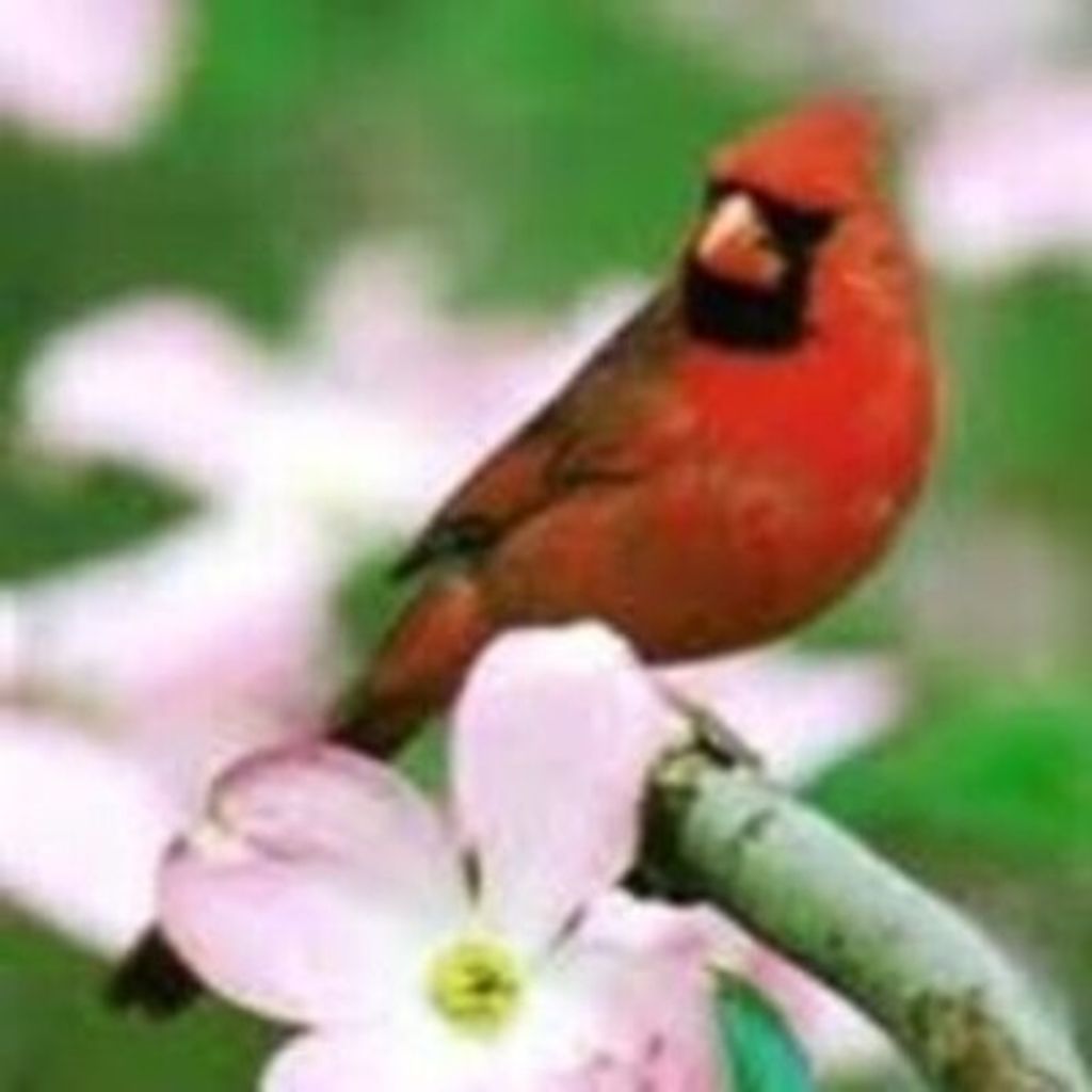 Jeannette White Eason