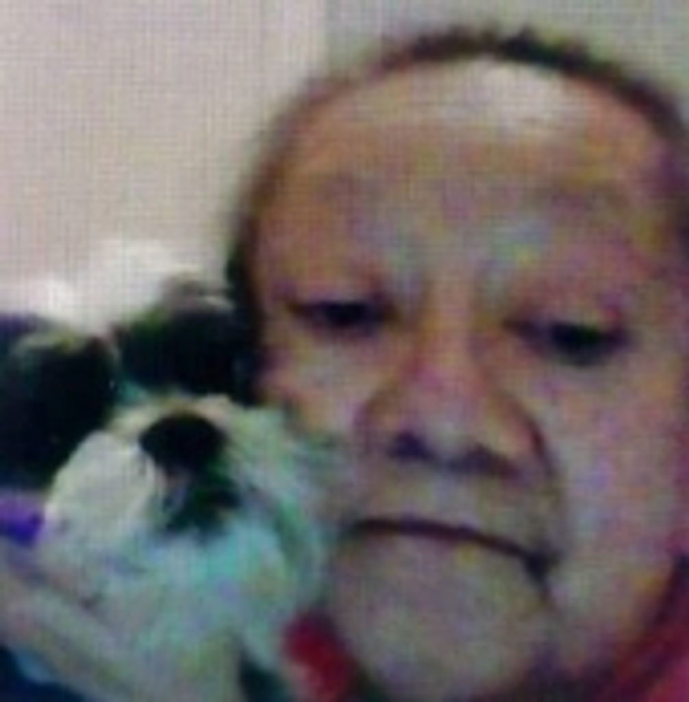 Linda Sue Mccarrick (Lansing) Profile Photo