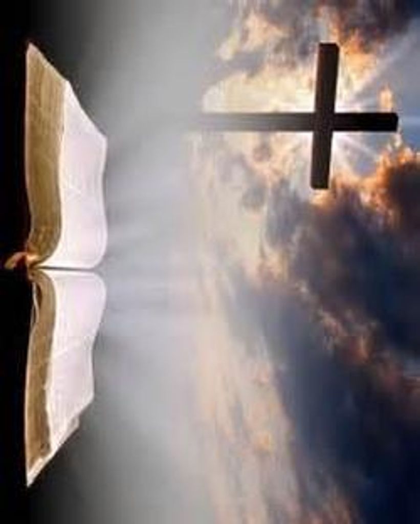 Linda Paulette Ball Profile Photo