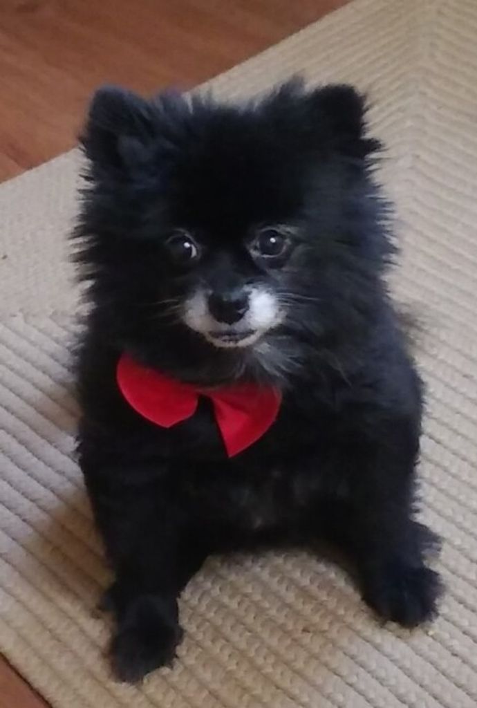 Stella Marie Patterson