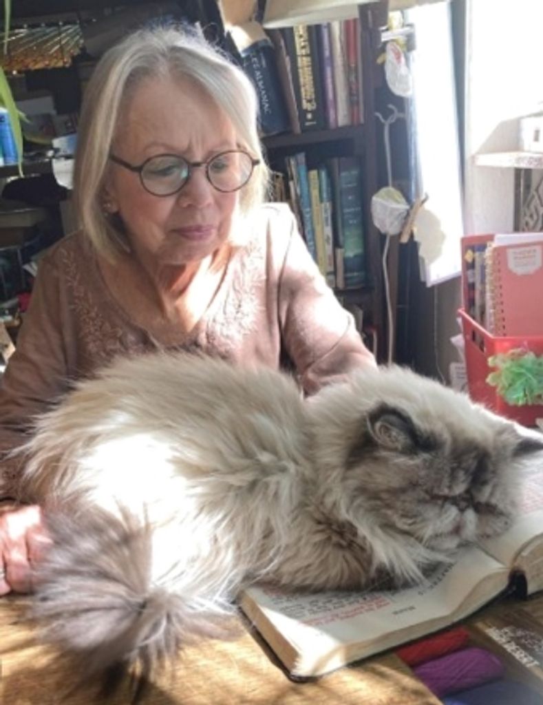 Constance "Connie"  Ellen Harris