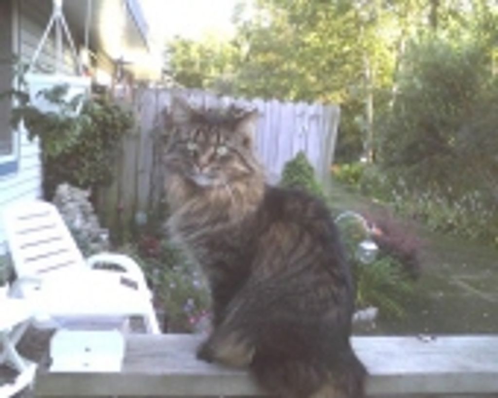 Lucy Rosema Profile Photo