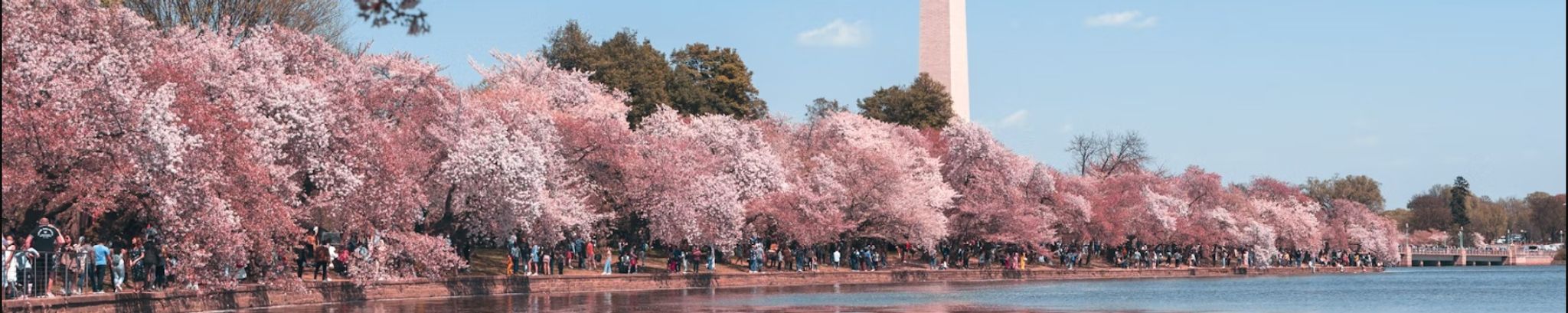 Cover for Gale Waxman's Obituary