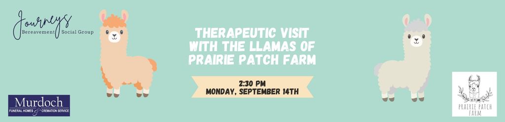 Journeys - Support Workshop: Therapy Llamas