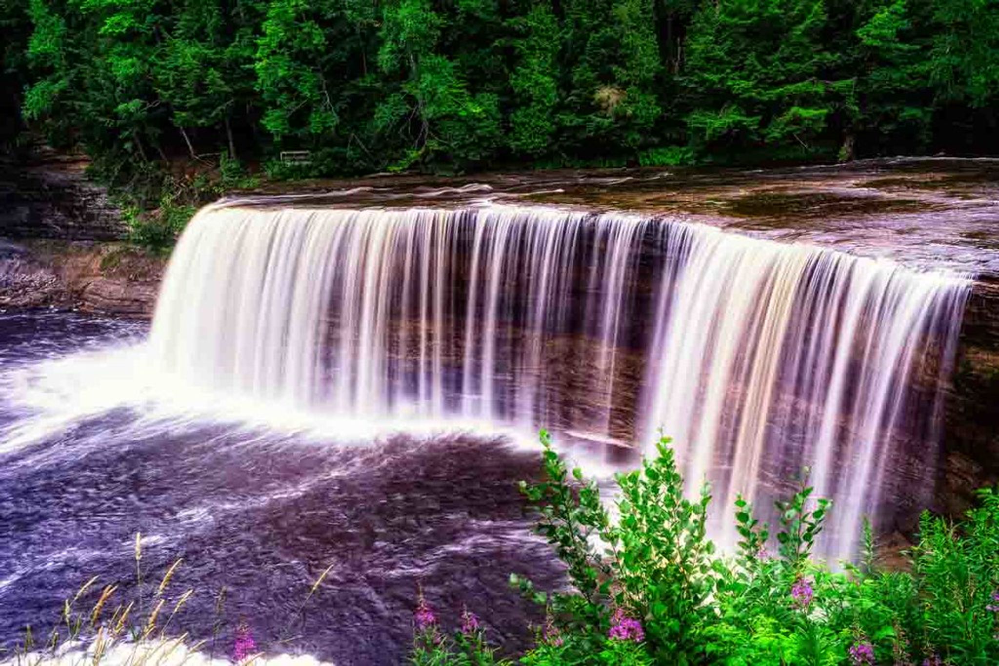 Cover for Pamela June Hobert's Obituary