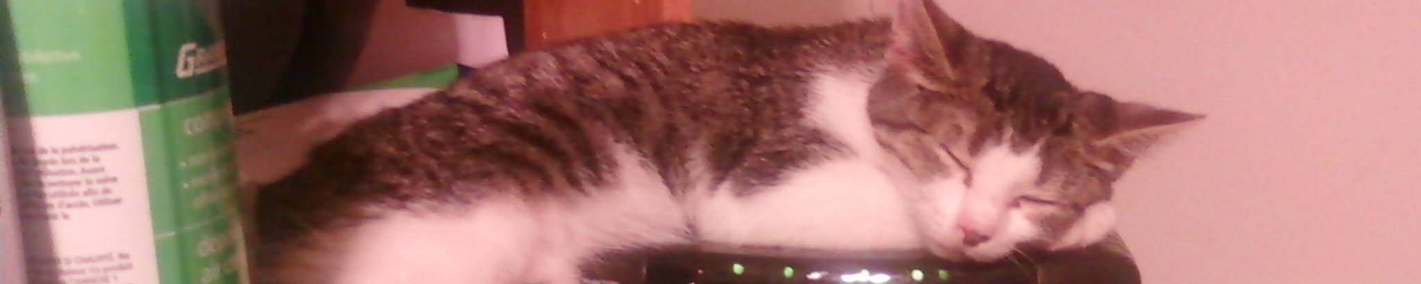 Cover for Evie's Obituary